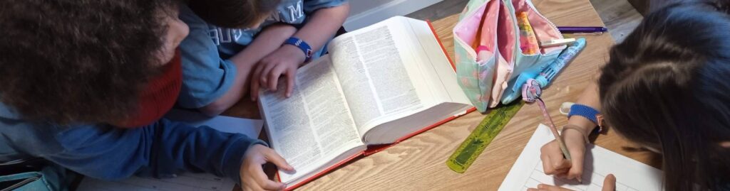 El Rol Central de la Traducción en la Enseñanza de Lenguas • María Rodríguez Cerezales • Traductor Jurado Francés • Hero